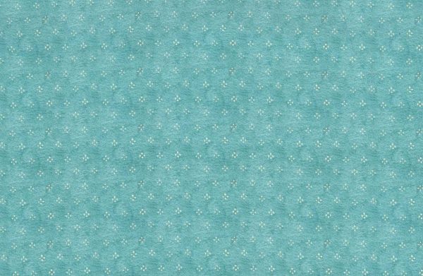 Bearly Dot-DDC12288-Mint