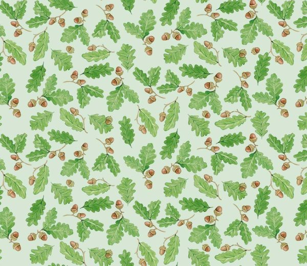 Little Acorns-DDC12421-Mist