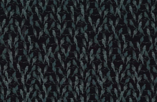 The Raven-DCX12279-Black The Raven-DCX12279-Black