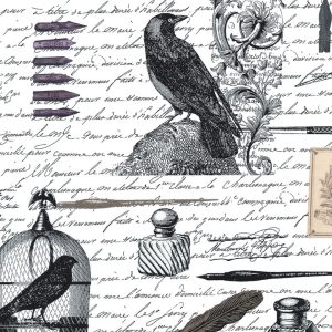 ESSENTIALS, Edgar / Blanc DC5525_White.jpg