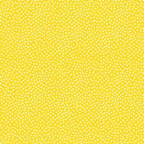 CX1065_Lemon.jpg
