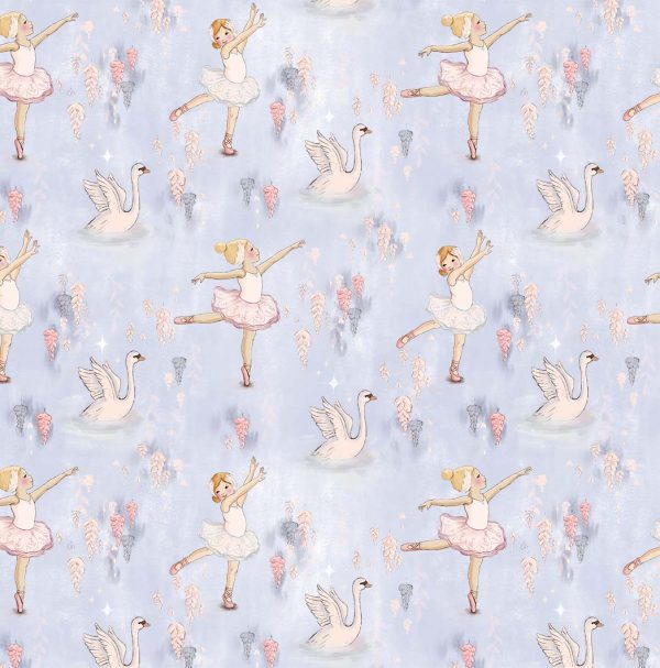 Ballet Toile-DDC12594-Cloud