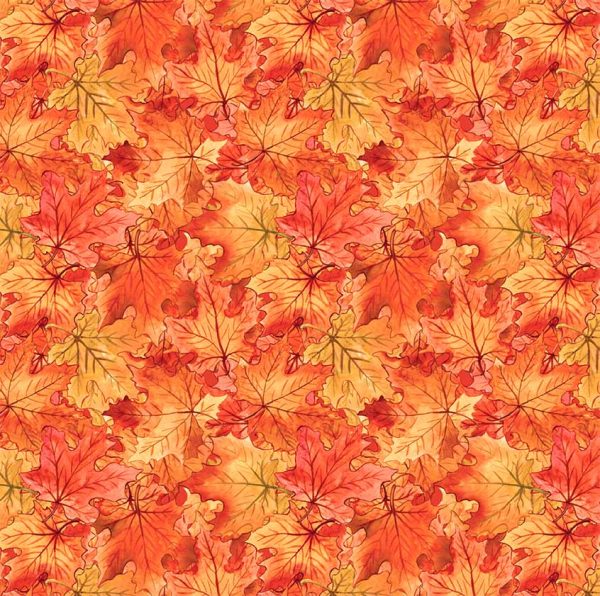 Fallen Leaves-DDC12764-Orange